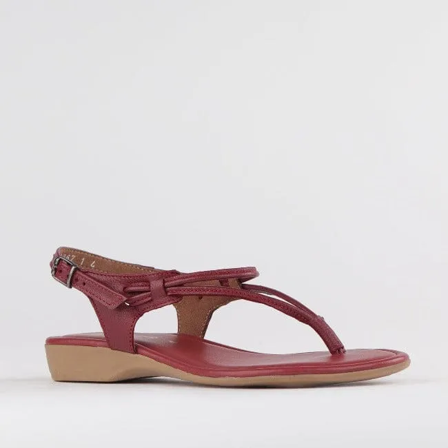 Women's Thong Flat Sandal in Red - 10732